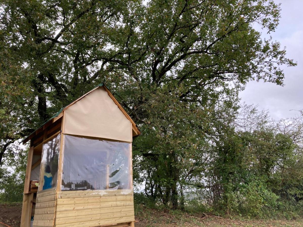 Cabane Bivouac Avec Echelle A L'Ombre Des Chenes Idrac-Respailles エクステリア 写真
